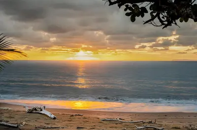 a sunset over the ocean with a horse laying on the beach at Playa Ganadito Ecolodge in Drake