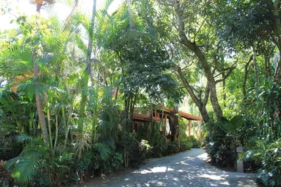 a path in the middle of a forest of trees at Costa Verde Inn in San José