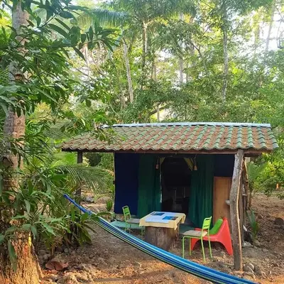 Jungle Tent 3x3