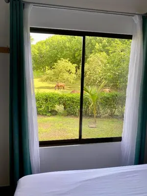 a bedroom window with a view of a horse in a field at Encantadora Casa Amapolas in Cóbano
