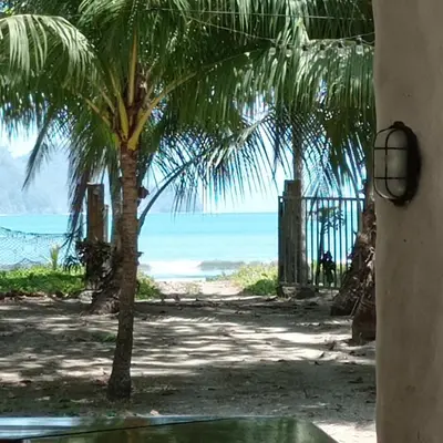 a view of a beach with a palm tree and the ocean at Ocean View in Puntarenas