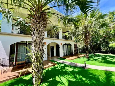a palm tree in front of a house at Hotel El Manglar y Cantarana in Playa Grande