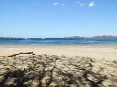 a tree branch laying on a beach with the ocean at Villa del Sueño in Playa Hermosa
