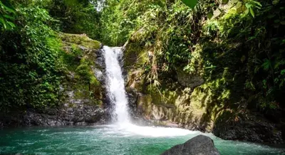 a waterfall in the middle of a river at Casita El Sonido de las Aves in Uvita