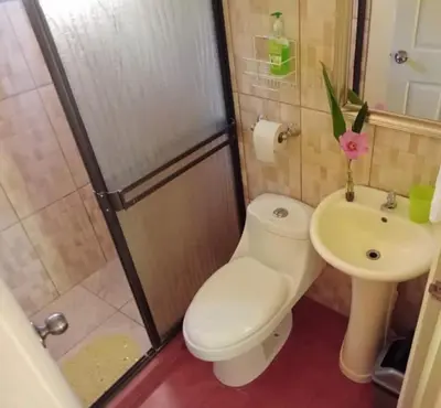 a bathroom with a toilet and a sink at Casita El Sonido de las Aves in Uvita