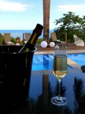a bottle of wine and a glass on a table at Palmetto Lodge in Playa San Miguel