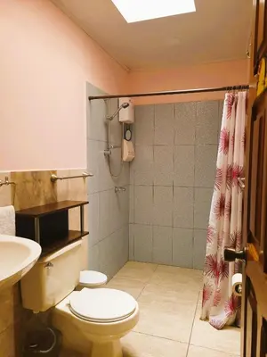 a bathroom with a toilet and a sink and a shower at Casa Flores in Heredia