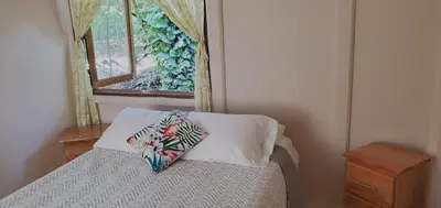 a bedroom with a bed with two pillows and a window at Casa Chilamates 2.0 in Tortuguero