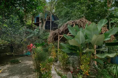 a garden in front of a house with plants at Oasis Diverse Adult Retreat in Quepos