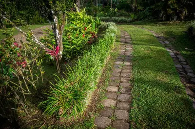 a stone path in a garden with plants at Vista Lago Arenal in Piedras