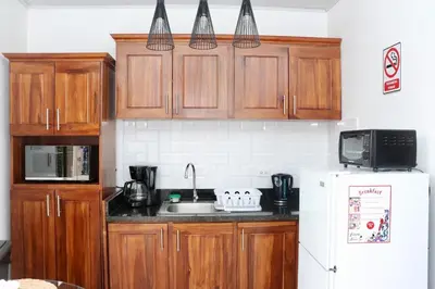 a kitchen with wooden cabinets and a sink and a refrigerator at Airport SJO Residence Cars4Rent 
