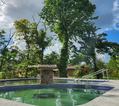 a swimming pool in a yard with trees at Cabañas Don Ramiro in Colonia Dos Ríos