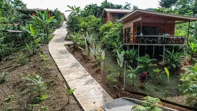a path leading to a house in a garden at Bungalows Las Iguanas Arenal Volcano in Fortuna