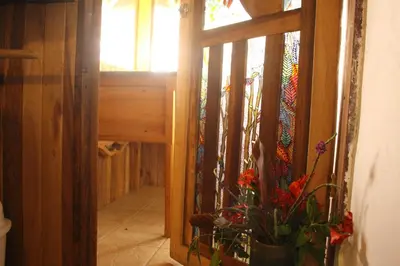 a hallway with a door with a potted plant at Casa Alquimia in Monteverde Costa Rica