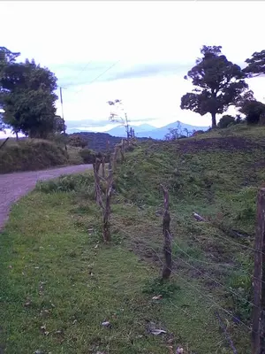 a fence on a grassy hill with a road at Casa Alquimia in Monteverde Costa Rica