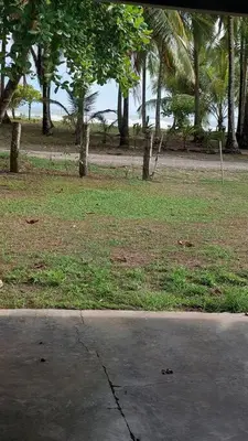 Gallery image of Agradable cabaña frente al mar in Parrita