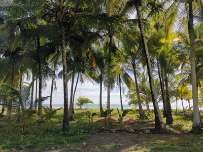 Gallery image of Agradable cabaña frente al mar in Parrita