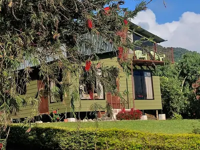 a green house with a tree in front of it at Villa Golondrina Cabaña rodeada de Naturaleza in Monteverde Costa Rica