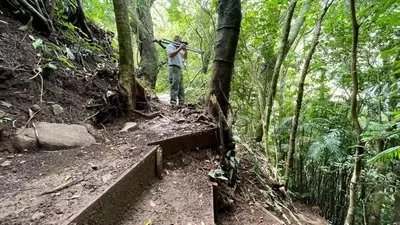 a man standing on a trail in the woods at Villa Golondrina Cabaña rodeada de Naturaleza in Monteverde Costa Rica