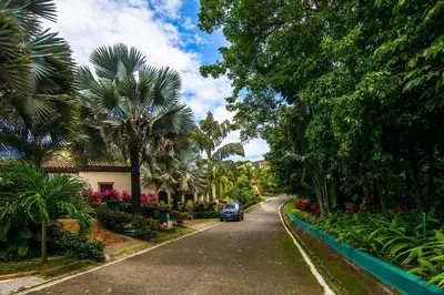 a car driving down a street with palm trees at Casa Sol in Herradura