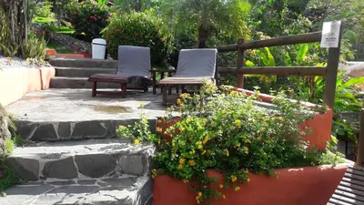 two chairs sitting on a patio with some flowers at Hotel El Jardin in Montezuma