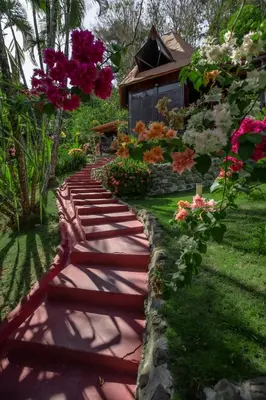 a walkway in front of a house with flowers at Hotel El Jardin in Montezuma