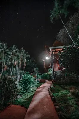 a path leading to a house at night at Hotel El Jardin in Montezuma