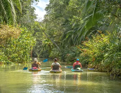 three people kayaking down a river in the jungle at Lovely Condo near monkey habitat and beach in Quepos