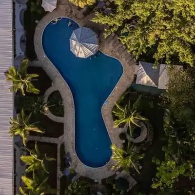 Lovely Condo near monkey habitat and beach