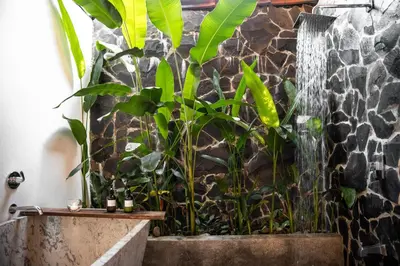a bathroom with plants and a stone wall at Villa Fruta del Cielo in Uvita