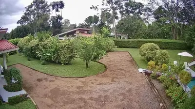 an aerial view of a garden with trees and bushes at Casa Hibiscus in Ojochal