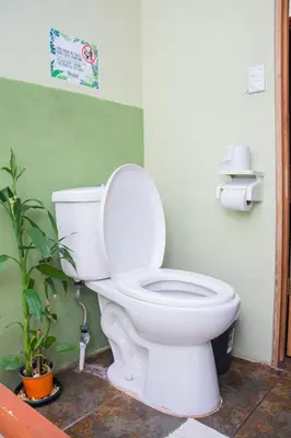 a white toilet in a bathroom with a plant at Gardens House, Airport Juan Santamaría, Alajuela, San José in Alajuela City
