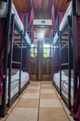 two bunk beds in a room with purple curtains at Gardens House, Airport Juan Santamaría, Alajuela, San José in Alajuela City