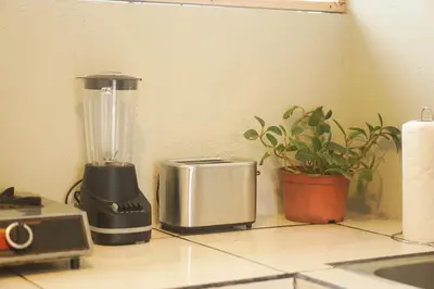a kitchen counter with a blender and a potted plant at GALA Santa Teresa Apartments 80m from the Beach in Santa Teresa Beach