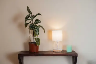a plant on a table next to a lamp at Cabañas La Hacienda in San Pablo