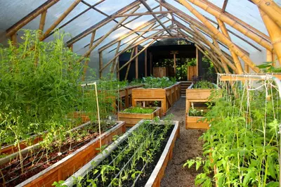 a greenhouse filled with lots of plants in it at Macaw Lodge in Carara
