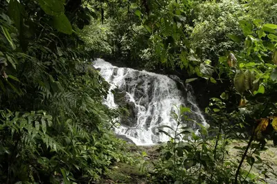 a waterfall in the middle of a forest at Macaw Lodge in Carara