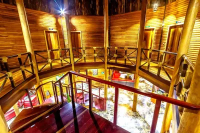 an overhead view of a room with wooden walls and stairs at Macaw Lodge in Carara