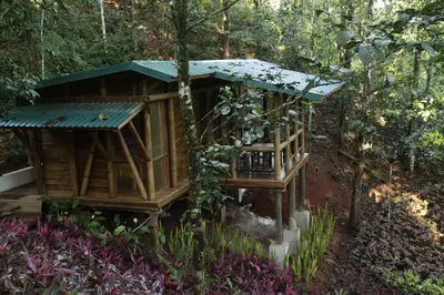a tree house in the middle of the forest at Macaw Lodge in Carara