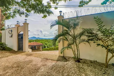 a house with a palm tree in front of a driveway at Casa Mimosa Poolside in Playa Flamingo