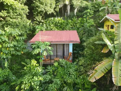 a small house with a red roof in the forest at Villas In Sueño in Manuel Antonio