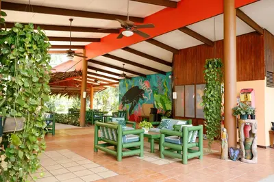 a patio with green chairs and a table and ivy at Turtle Beach Lodge in Tortuguero