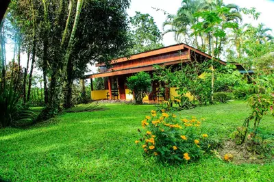 a house with a green yard with yellow flowers at Catarata Eco Lodge in Fortuna