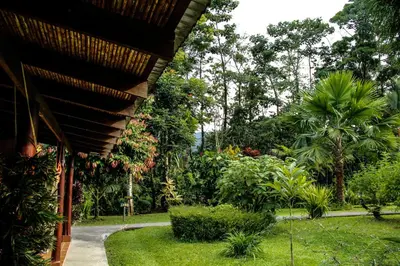 a house with a garden with trees and plants at Catarata Eco Lodge in Fortuna