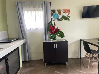a black cabinet with a plant on it in a room at Cabaña Rural Pura Vida in Fortuna