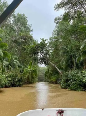 a boat traveling down a river in a jungle at Lovely 2-BDroom Condo in Laguna Eco Village Resort in Quepos