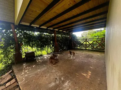 two dogs are sitting under a covered patio at Modern Loft inside a beautiful farm in General Viejo