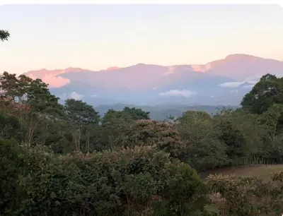 a view of a forest with mountains in the distance at Modern Loft inside a beautiful farm in General Viejo