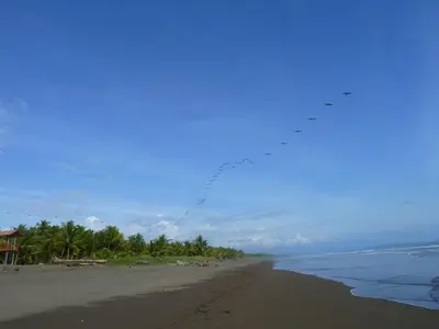 a beach with palm trees and the ocean at Casa Altamar in Jacó