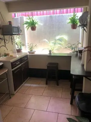 a kitchen with a window with potted plants at #2 private room close to airport in Alajuela City